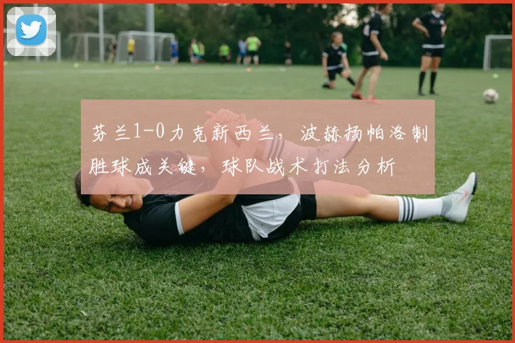 芬兰1-0力克新西兰,波赫扬帕洛制胜球成关键,球队战术打法分析